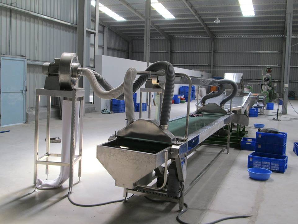 Máy đóng gói hạt điều tự động